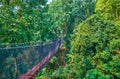 Walk through the greenery, Tree Top Walk, Mae Fah Luang garden, Doi Tung, Thailand