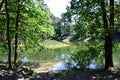 A walk through the Dutch Heidestein nature reserve along Royalty Free Stock Photo