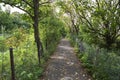 Poets walk, Clevedon, Somerset, UK