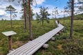 Walk in Kangari nature trail in swamp, Latvia Royalty Free Stock Photo
