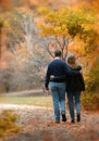 Walk in the Leaves Royalty Free Stock Photo