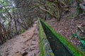 Walk on the levadas in Madeira Royalty Free Stock Photo