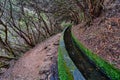 Walk on the levadas in Madeira Royalty Free Stock Photo