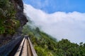 Walk on the levadas in Madeira Royalty Free Stock Photo