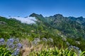 Walk on the levadas in Madeira Royalty Free Stock Photo