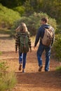 The walk of love. Rear view shot of a young couple walking down a hiking trail. Royalty Free Stock Photo