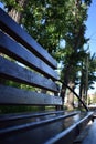 A walk in the park and a dark bench