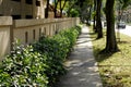 Walk path Royalty Free Stock Photo