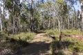 Walk path at Crooked Brook Western Australia in winter.