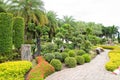 Walk path and dwarf tree in the garden. Royalty Free Stock Photo