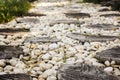 Walk path in garden decorated with stumps and stone Royalty Free Stock Photo