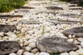 Walk path in garden decorated with stumps and stone Royalty Free Stock Photo