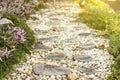 Walk path in garden decorated with stumps and stone