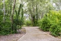 Walk path through green trees Royalty Free Stock Photo