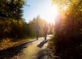 walk path hiking walking nature trail park hike autumn morning hikers exercise Royalty Free Stock Photo