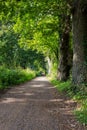 Walk path in park hike trail at water channels in Woking, Surrey Royalty Free Stock Photo