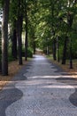 Walk path from paving stones in Jurmala park area forest in the autumn day Royalty Free Stock Photo