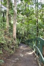 Walk path, Whangarei Falls and Scenic Reserve