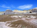 Walk through the Petrified Forest National Park, Arizona, USA