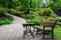 Lonely bench in the park