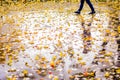 A walk in the rain Royalty Free Stock Photo