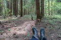 Walk and rest in the forest, picking mushrooms, quiet hunting, feet in rubber boots against the background of a forest landscape
