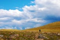 A Walk in the Rocky Mountain Tundra