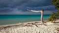 Walk on Seven Mile Beach