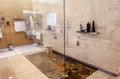 Walk-in shower with chrome fixtures and marine decor on floor in bathroom