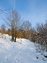 Walk through the snow