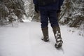 Walk through the snow-covered forest Royalty Free Stock Photo