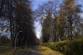 Walk on the Sparrow Hills in autumn, Moscow Royalty Free Stock Photo