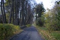 Walk on the Sparrow Hills in autumn, Moscow Royalty Free Stock Photo