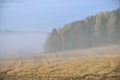 A walk in the spring outside the swedish countryside Royalty Free Stock Photo