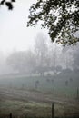 A walk in the spring outside the swedish countryside Royalty Free Stock Photo