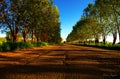 walk in the spring on the wooded path Royalty Free Stock Photo