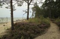 Walk in the summer garden along the path that leads among thesea and glades of heather and pine trees. Royalty Free Stock Photo