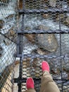 A walk on suspension bridge over river stream. Royalty Free Stock Photo
