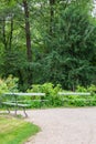 Walk through the Tiergarten park Royalty Free Stock Photo