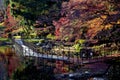 Walk under the foliage of maples Momiji Gari Japan