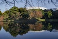 Walk under the foliage of maples Momiji Gari Japan