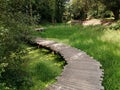 Walk in the water path near Belfast