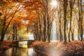 Walk way bridge over river with colorful trees in autumn time Royalty Free Stock Photo