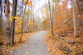 Walk way during fall season Royalty Free Stock Photo