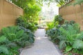Walk way foot path in to the garden Royalty Free Stock Photo