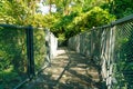 walk way in the forest Royalty Free Stock Photo