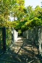 Walk way in the forest Royalty Free Stock Photo