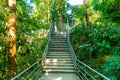 Walk way in the forest Royalty Free Stock Photo