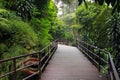 walk way in the forest with stone like ghost