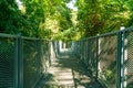 Walk way in the forest Royalty Free Stock Photo